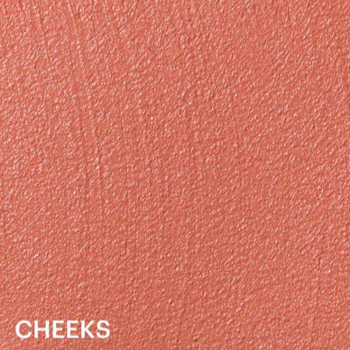 Refill Blush & Glow Stick
